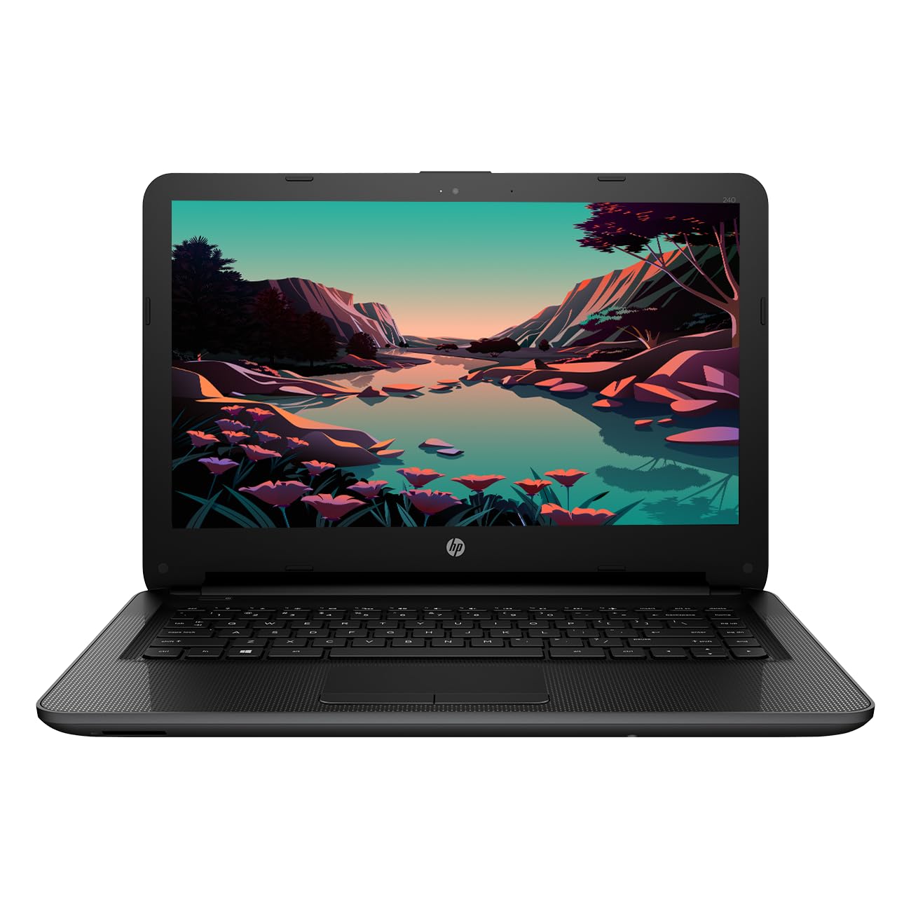 HP 245 G4| AMD APU Dual Core E1 | Windows 10