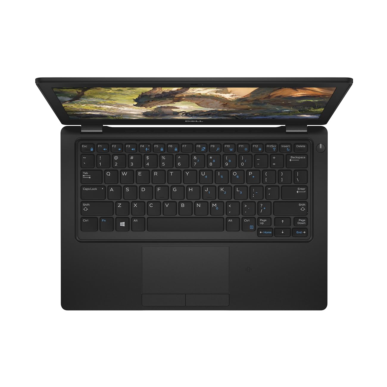 Dell Latitude 5290 | i5-7th Gen | 12.5" HD | Win 11