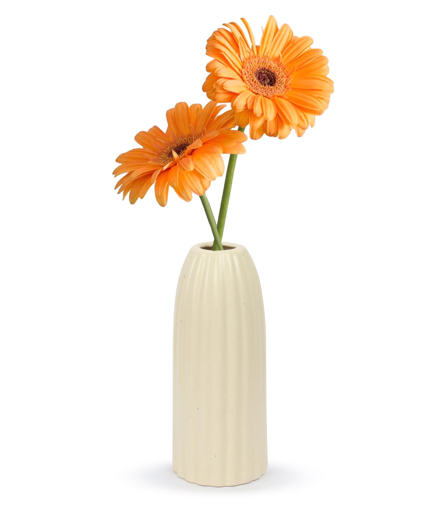 Ribbed Pipe Ceramic Vase for Flowers, Pampas Grass, or Live Plants | Decorative Home & Office Centerpiece Gift – No Flowers- (White, 6 Inch)