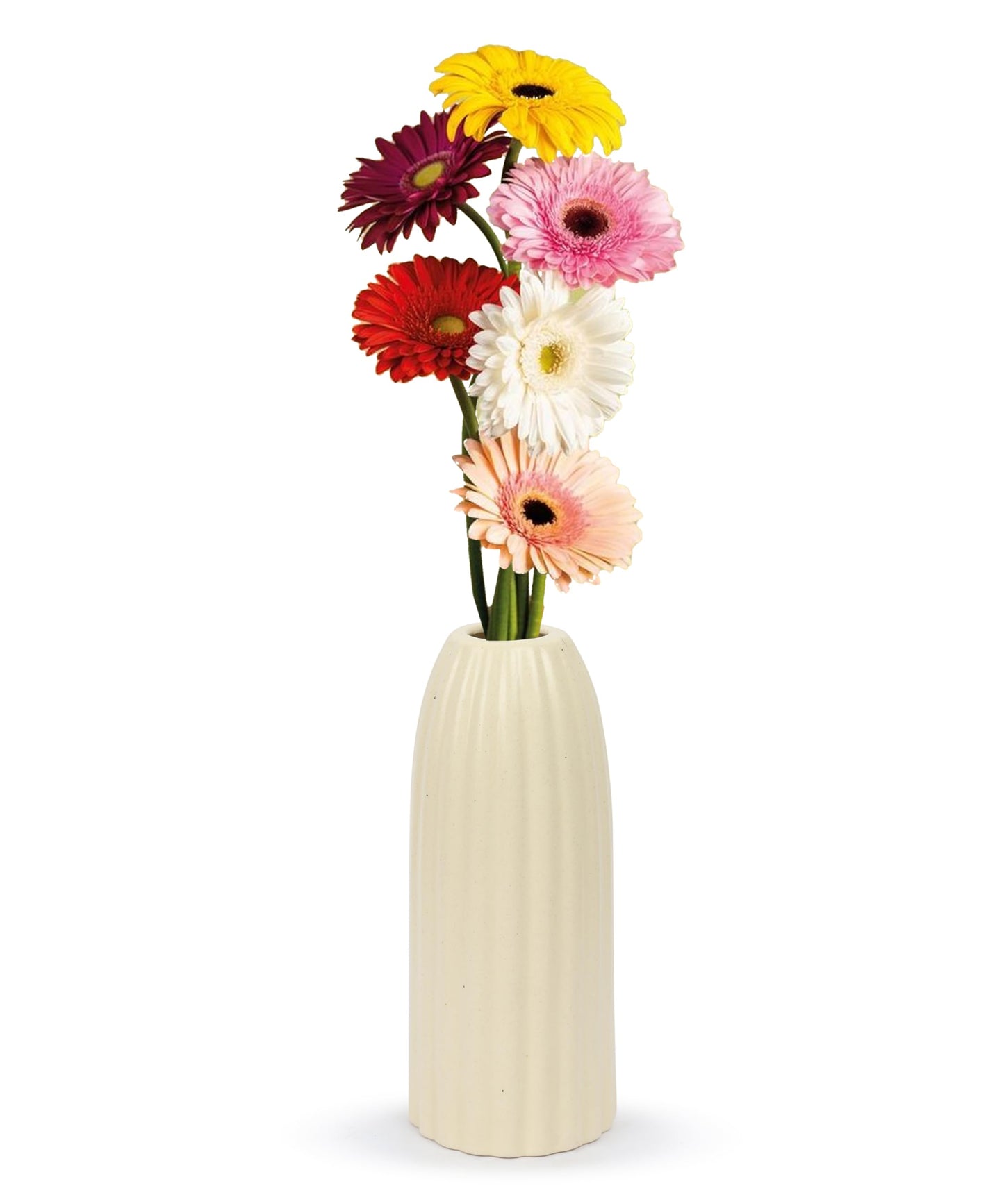 Ribbed Pipe Ceramic Vase for Flowers, Pampas Grass, or Live Plants | Decorative Home & Office Centerpiece Gift – No Flowers- (White, 6 Inch)