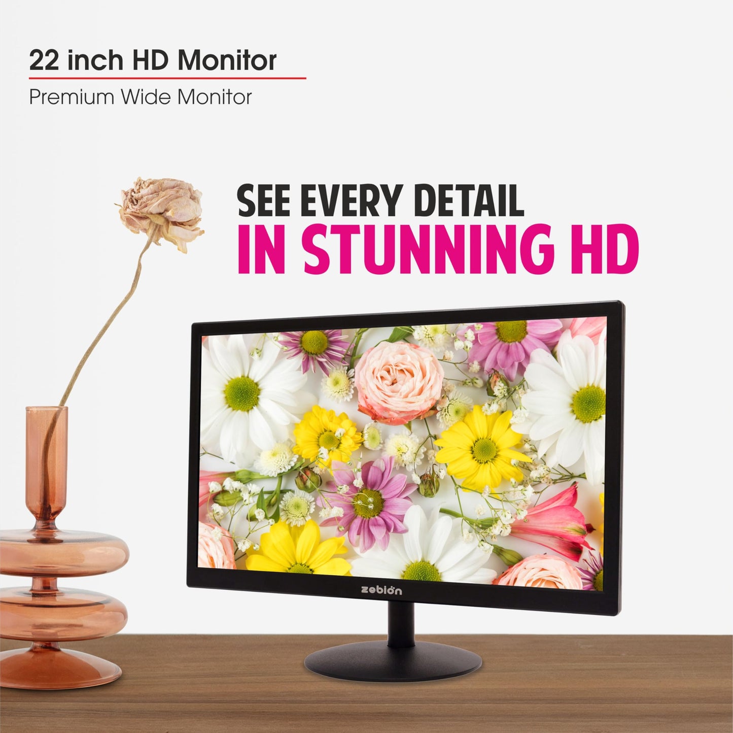 Zebion LED Monitor with 22 HD with Supporting HDMI& VGA Input, Glossy Panel, Slim Feature and Wall mountable Monitor with high Feature