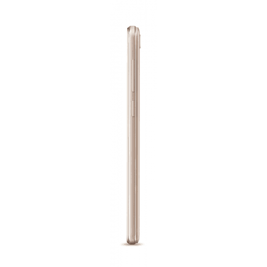 Lava Z50 (Gold, 1GB RAM, 8GB Storage) - Triveni World